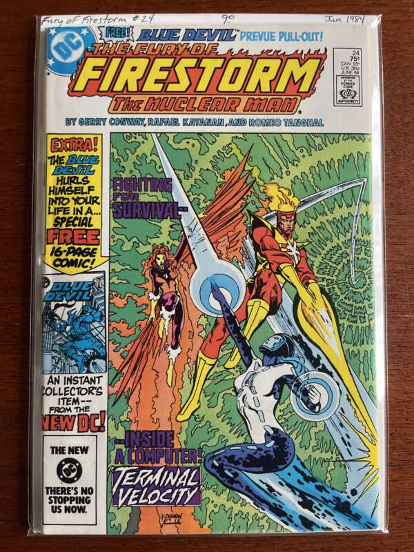 Fury of Firestorm #24
